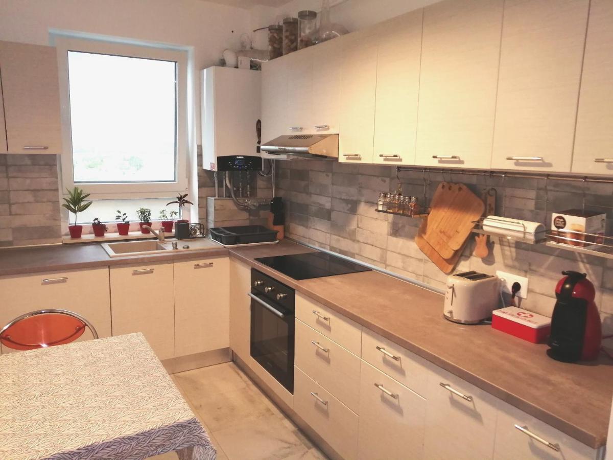 Maurer Loft Lejlighed Târgu-Mureş Eksteriør billede