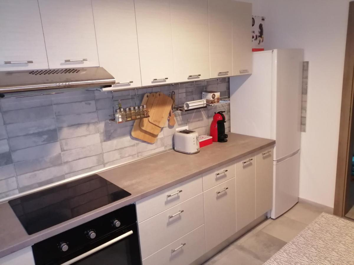 Maurer Loft Lejlighed Târgu-Mureş Eksteriør billede
