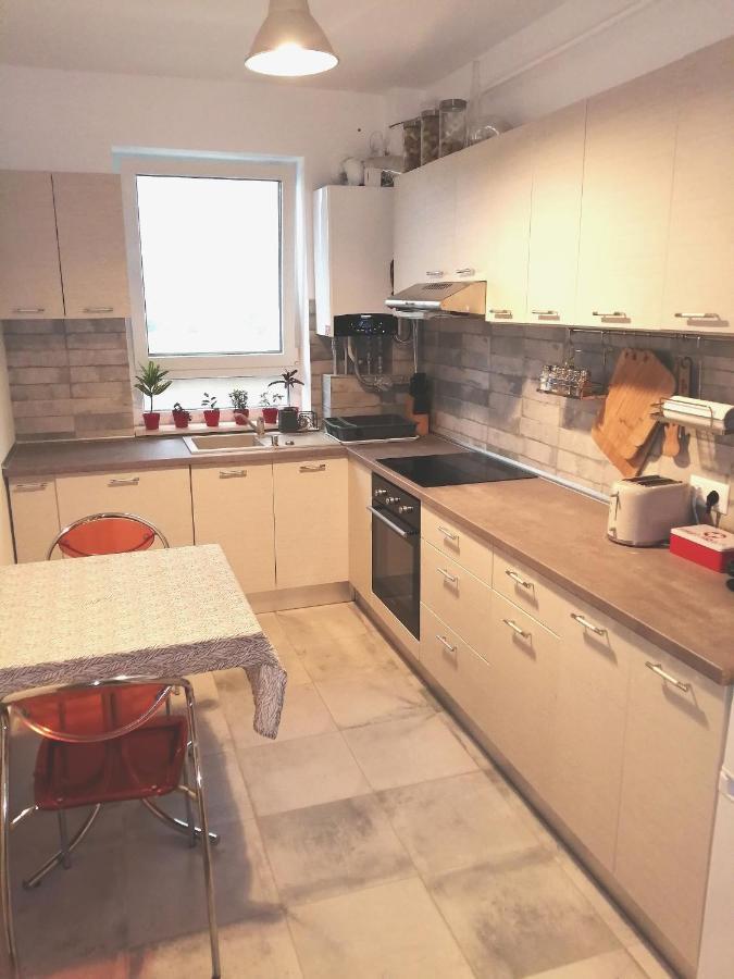 Maurer Loft Lejlighed Târgu-Mureş Eksteriør billede
