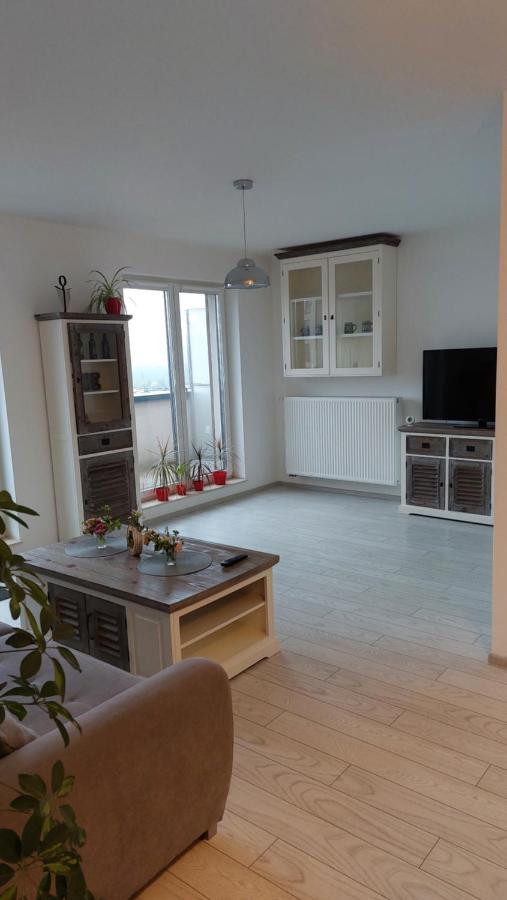 Maurer Loft Lejlighed Târgu-Mureş Eksteriør billede